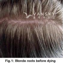 250502111246_Hair-Before Dying-s.jpg